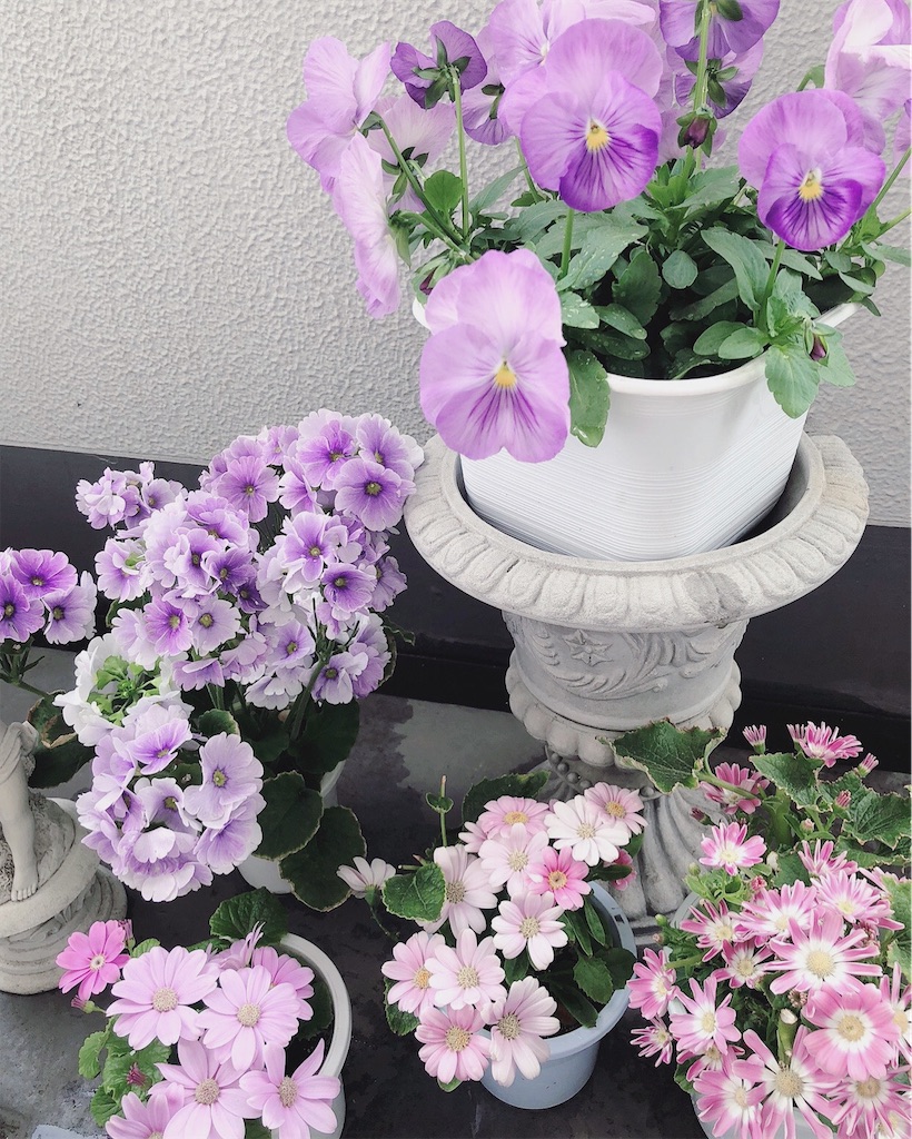 f:id:mikekonya:20230430210630j:image