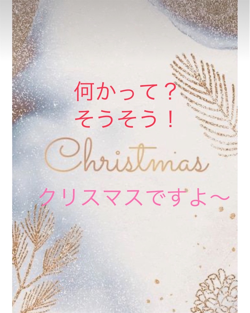 f:id:mikekonya:20231118205127j:image