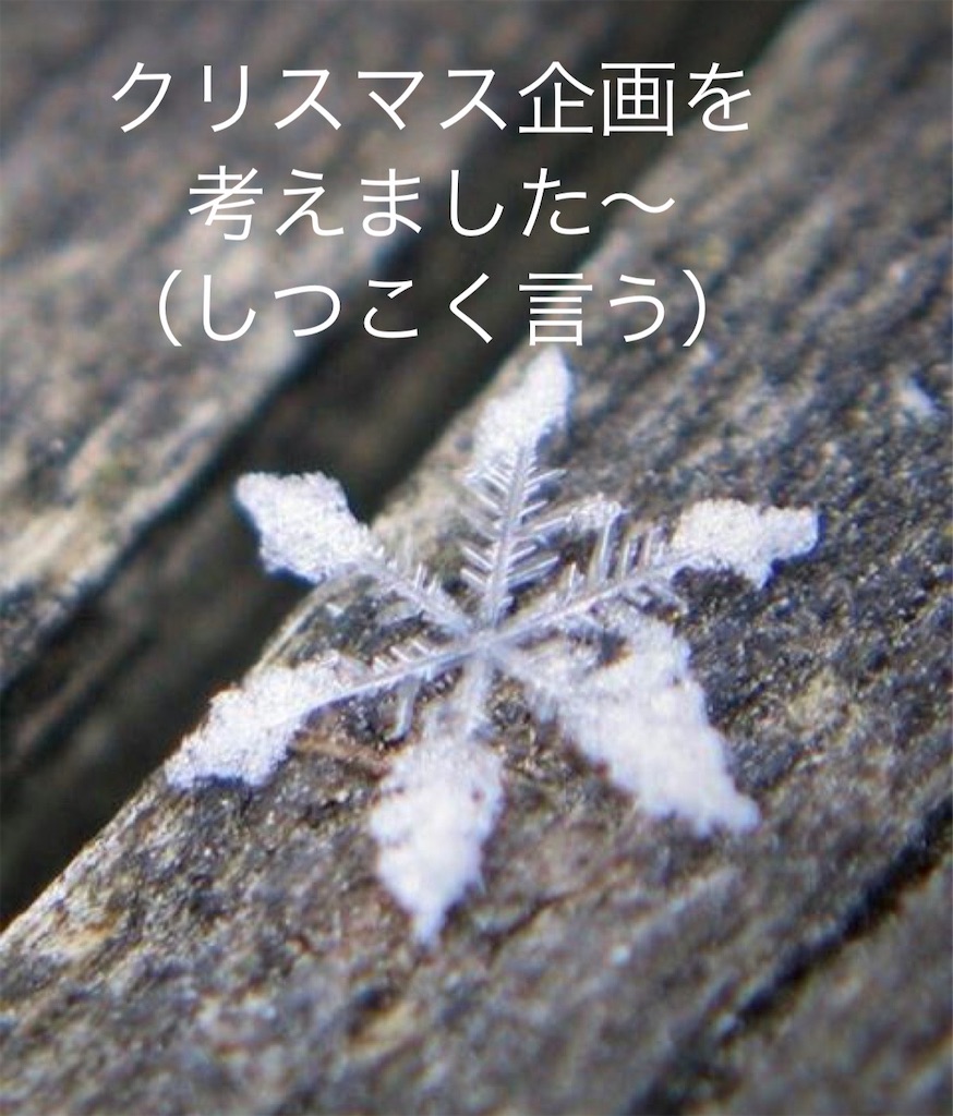 f:id:mikekonya:20231118205228j:image