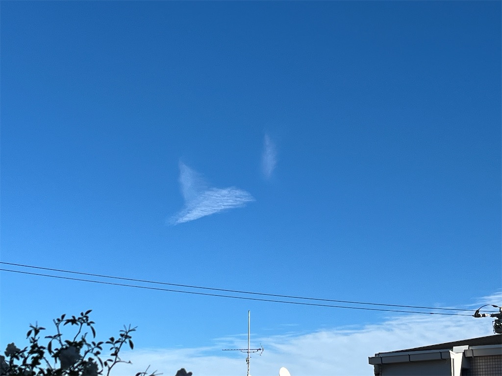 f:id:mikekonya:20231119142756j:image