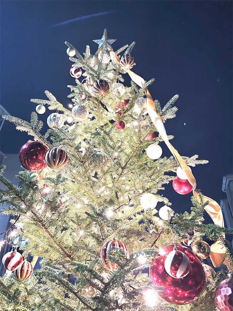 f:id:mikekonya:20231224150440j:image