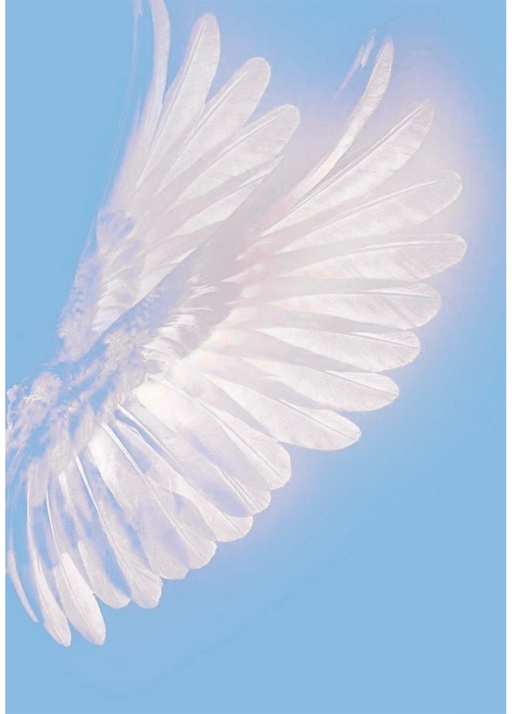 f:id:mikekonya:20251008194038j:image