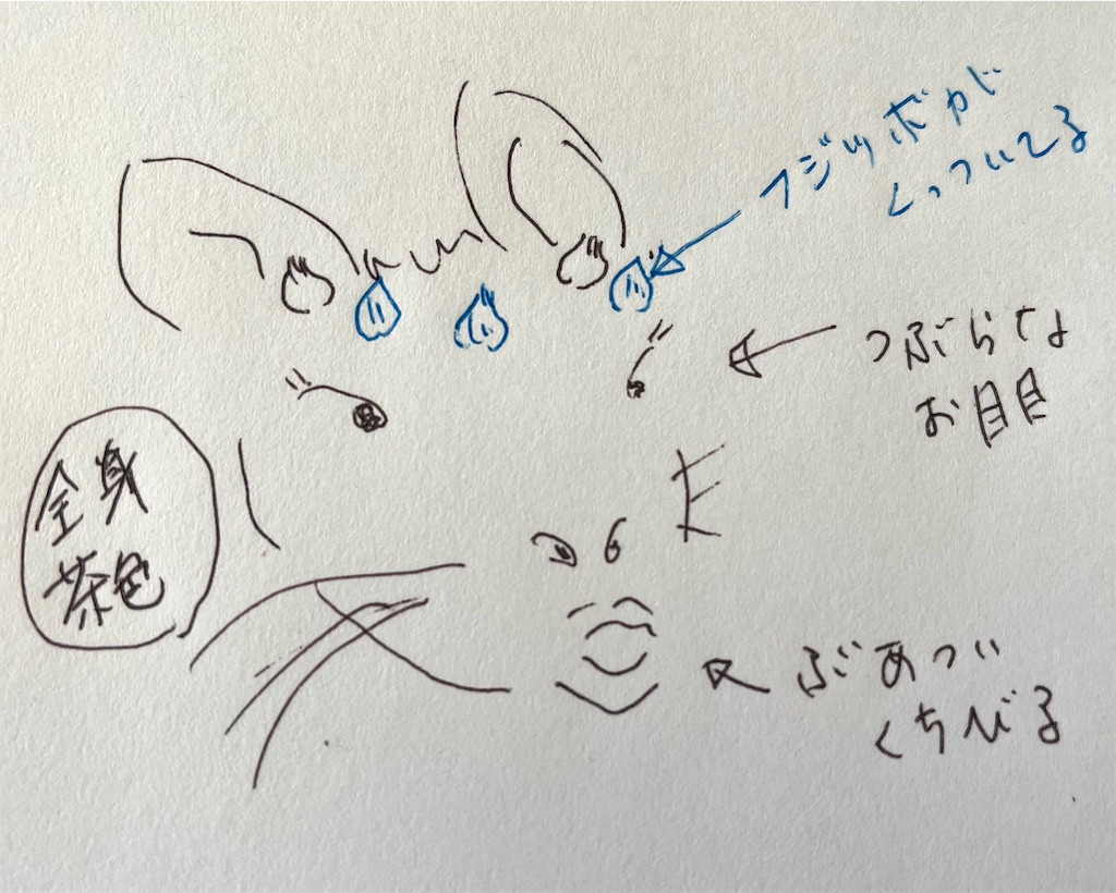 f:id:mikekonya:20260112134730j:image