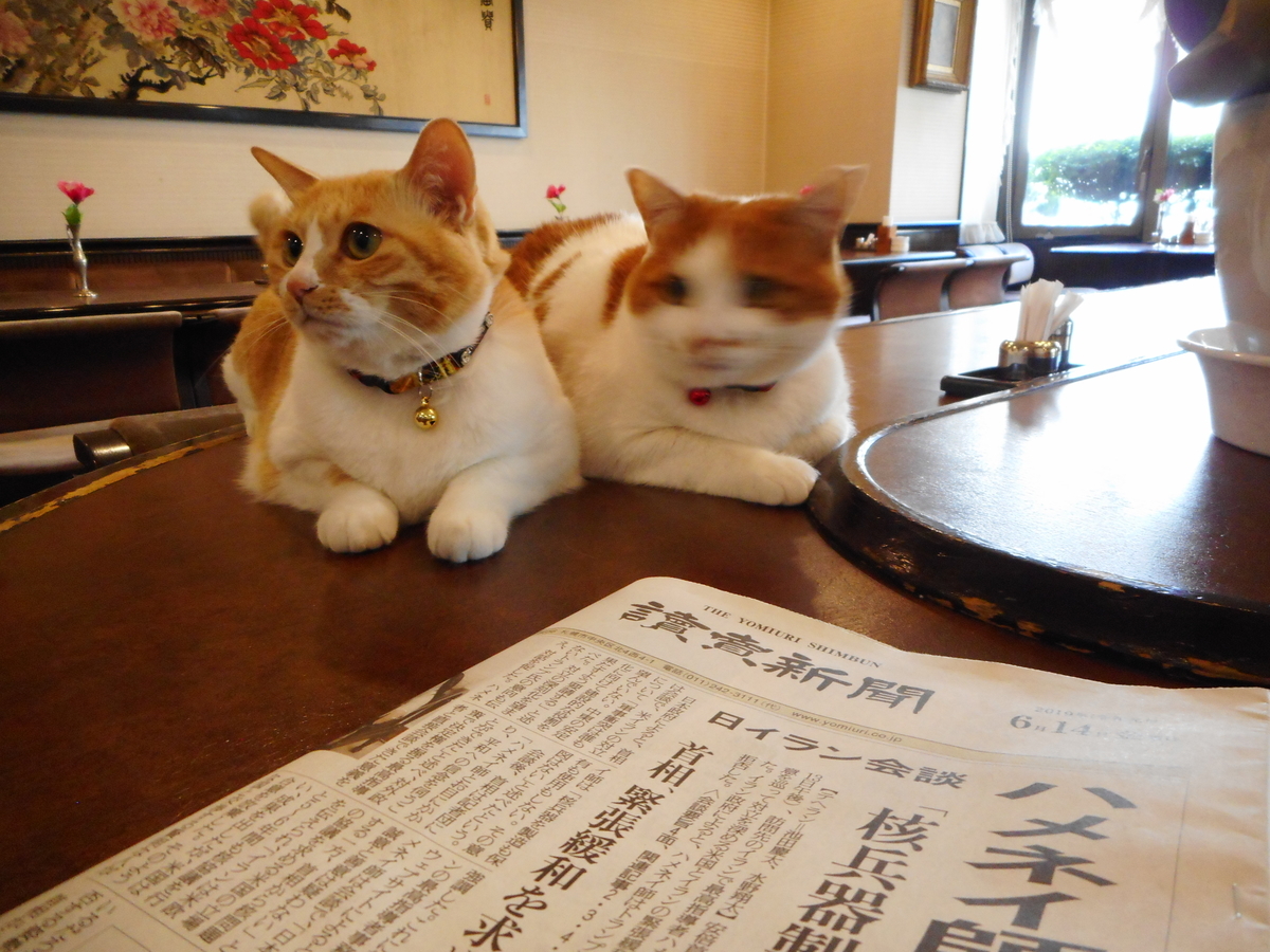 f:id:mikemaru:20190711181638j:plain