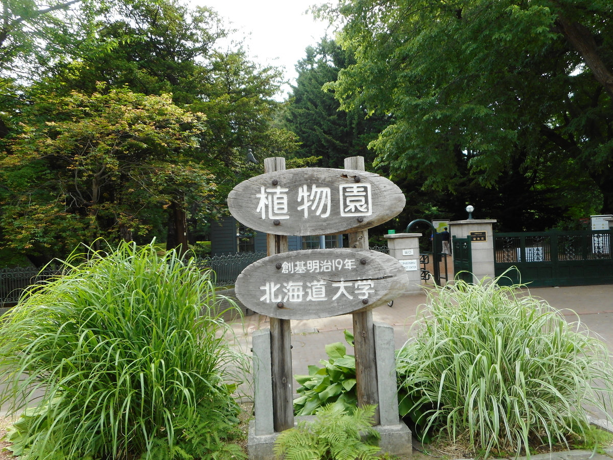 f:id:mikemaru:20190715135507j:plain