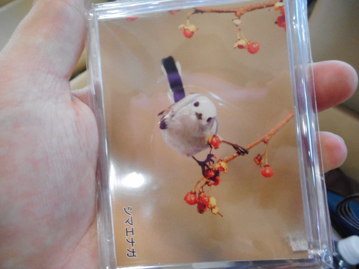 f:id:mikemaru:20190720120255j:plain