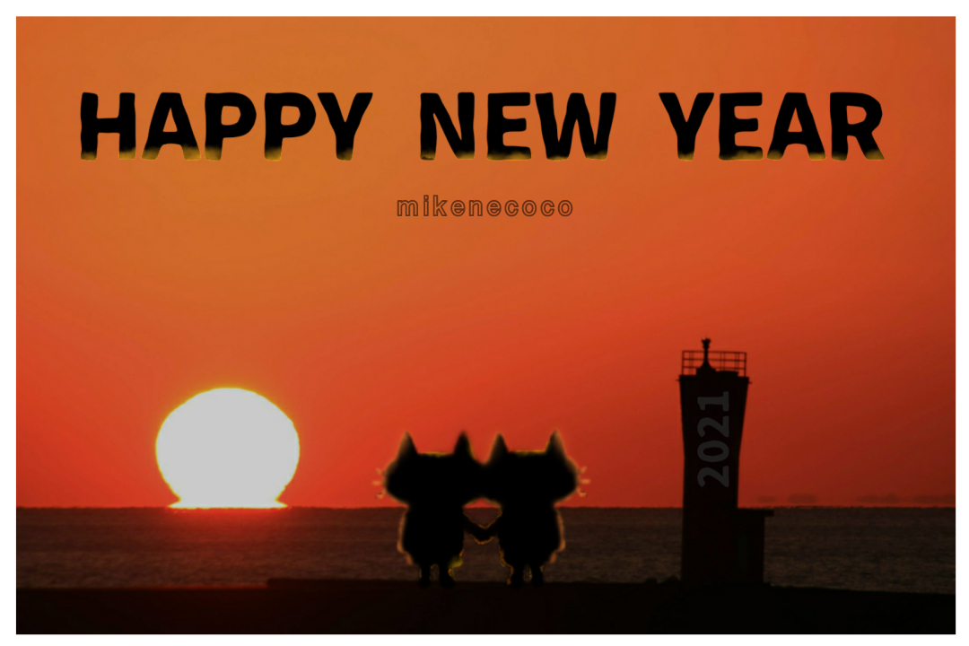 f:id:mikenecoco:20210103064855j:plain