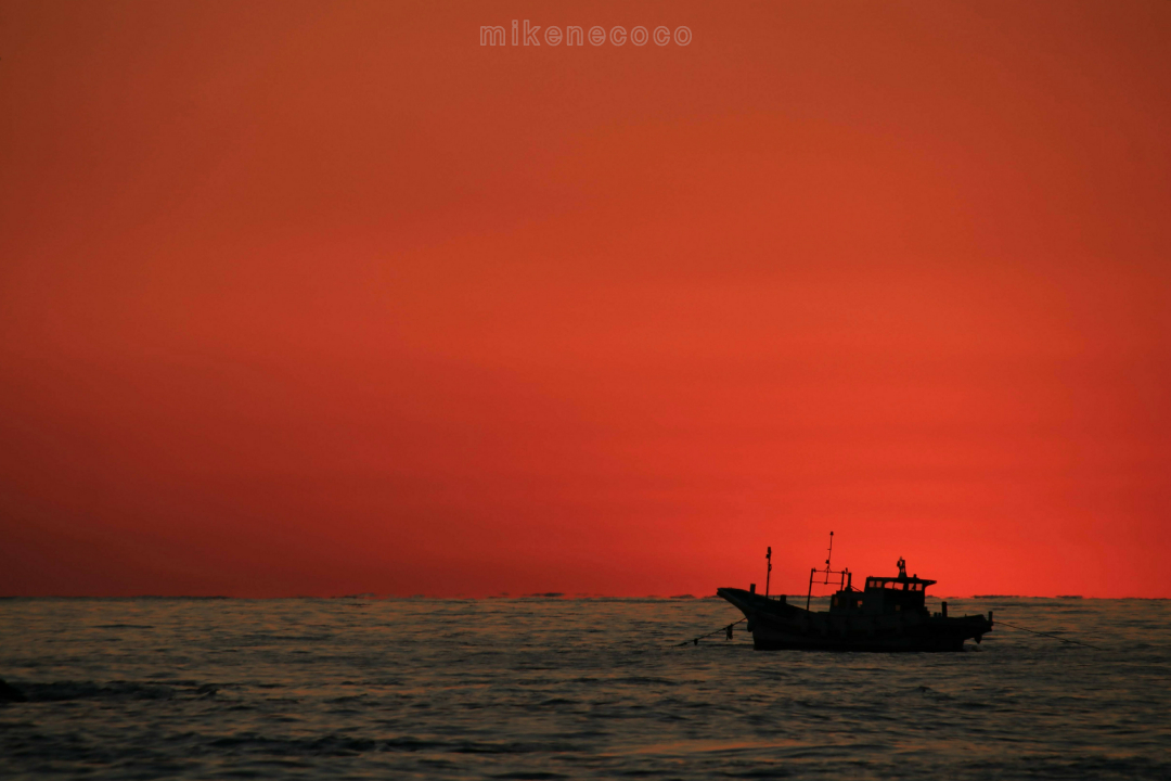f:id:mikenecoco:20210104051947j:plain