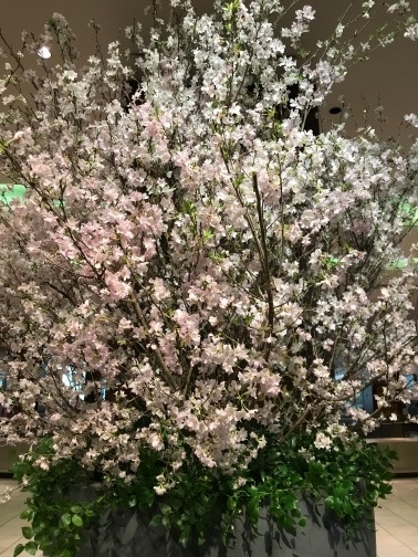 f:id:mikerich:20190406001143j:plain f:id:mikerich:20190406001143j:plain