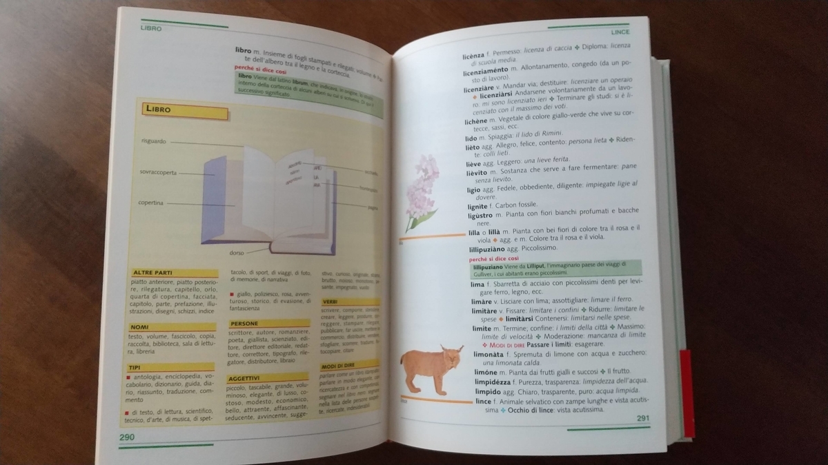 DIB DIZIONARIO DI BASE イタリア語辞典 DIB: dizionario di base della lingua italiana : De Mauro