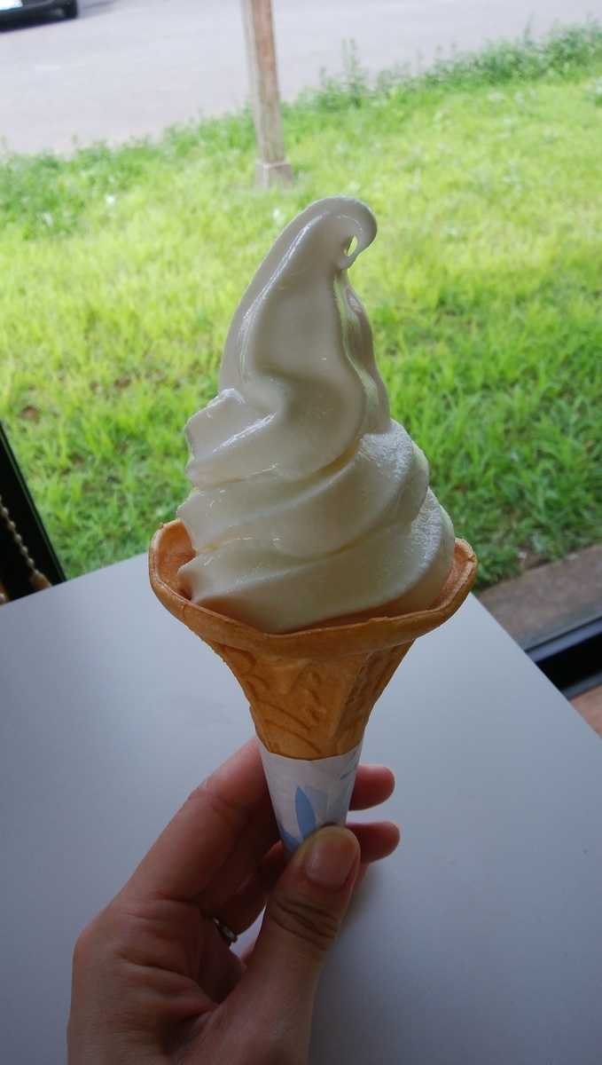 f:id:mikeusagitan:20190815182314j:plain