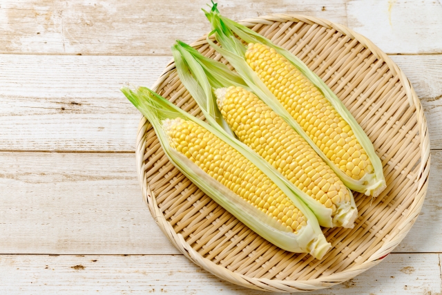 f:id:mikeusagitan:20190909091203j:plain f:id:mikeusagitan:20190909091203j:plain