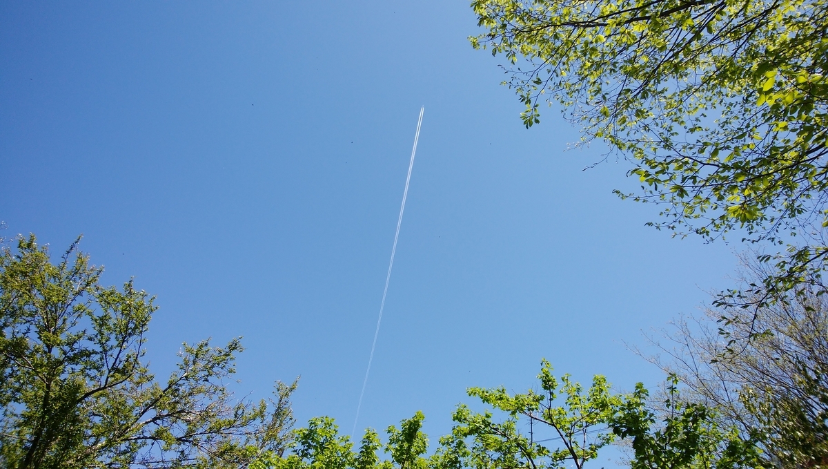 f:id:mikeusagitan:20200511153550j:plain f:id:mikeusagitan:20200511153550j:plain