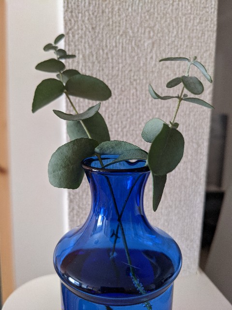 f:id:mikeusagitan:20201125170532j:image f:id:mikeusagitan:20201125170532j:image