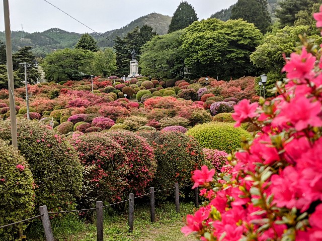f:id:mikeusagitan:20210509105942j:image f:id:mikeusagitan:20210509105942j:image