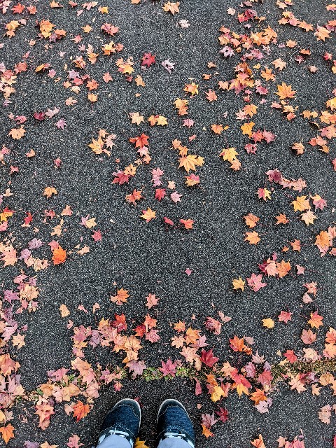 f:id:mikeusagitan:20211125161350j:image f:id:mikeusagitan:20211125161350j:image