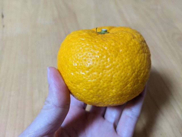 f:id:mikeusagitan:20211223164423j:image