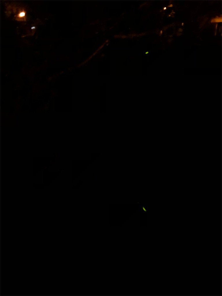 f:id:mikeyslife:20190604232522j:image f:id:mikeyslife:20190604232522j:image
