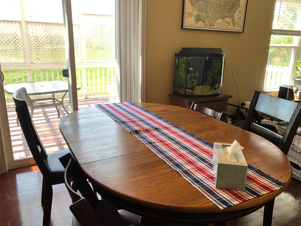 f:id:miki-from-usa:20210428210328j:image