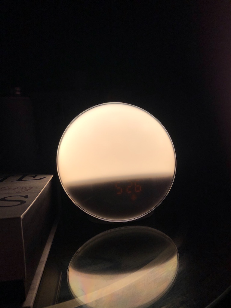 f:id:miki-from-usa:20210429204531j:image