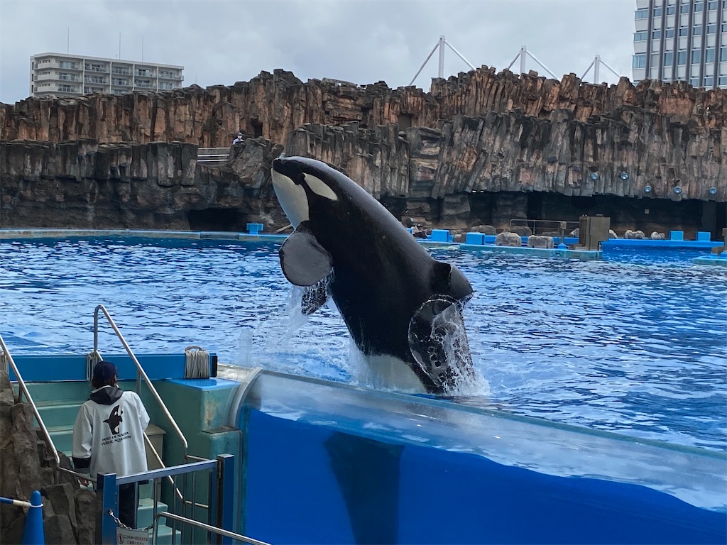 f:id:miki-from-usa:20210717235657j:image f:id:miki-from-usa:20210717235657j:image