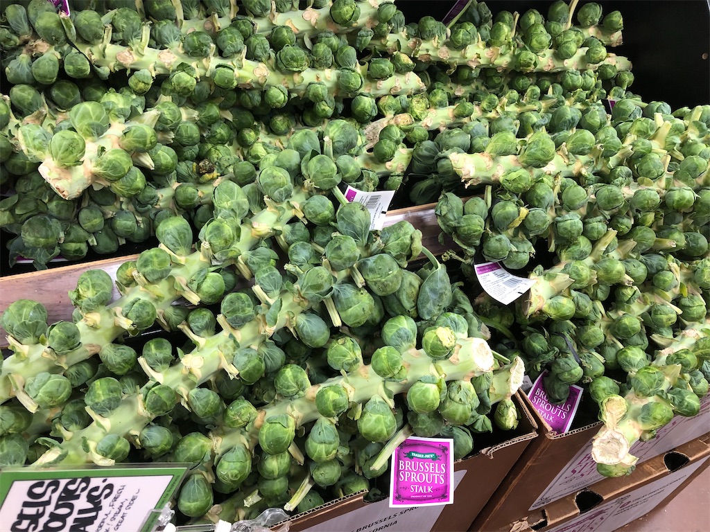 f:id:miki-from-usa:20211130055201j:image