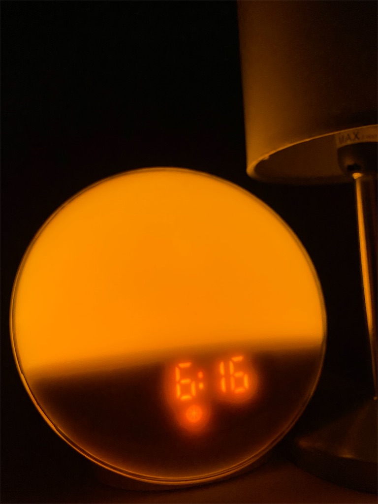 f:id:miki-from-usa:20220110231005j:image