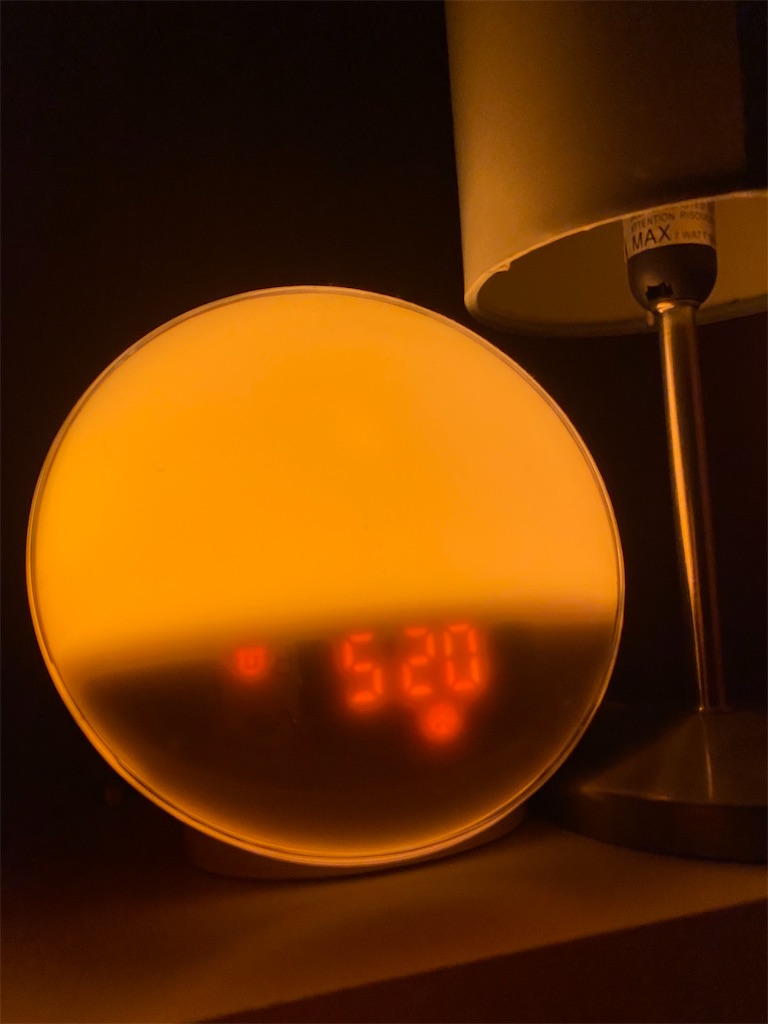 f:id:miki-from-usa:20220110231009j:image