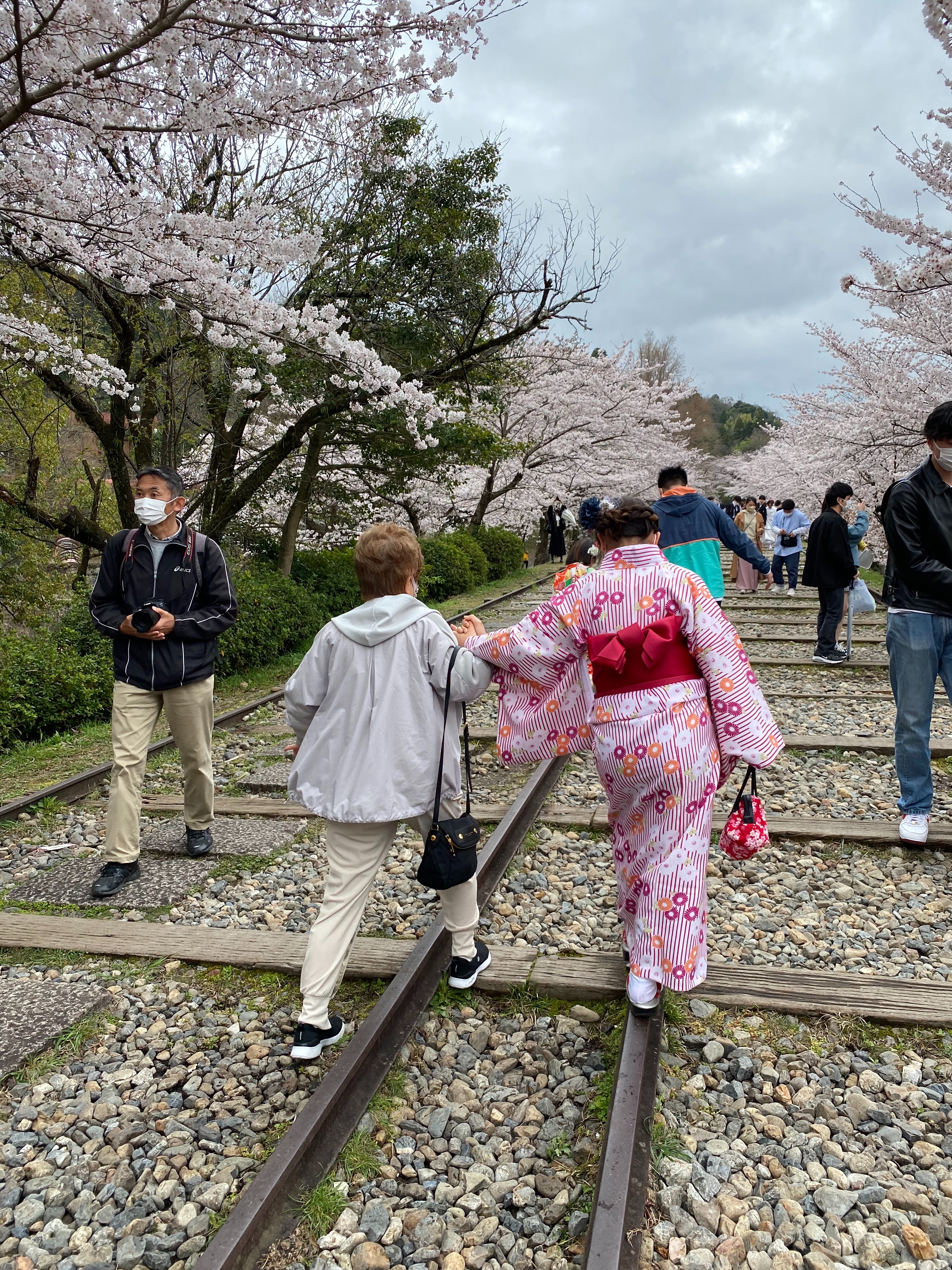 f:id:miki-from-usa:20220416003023j:image