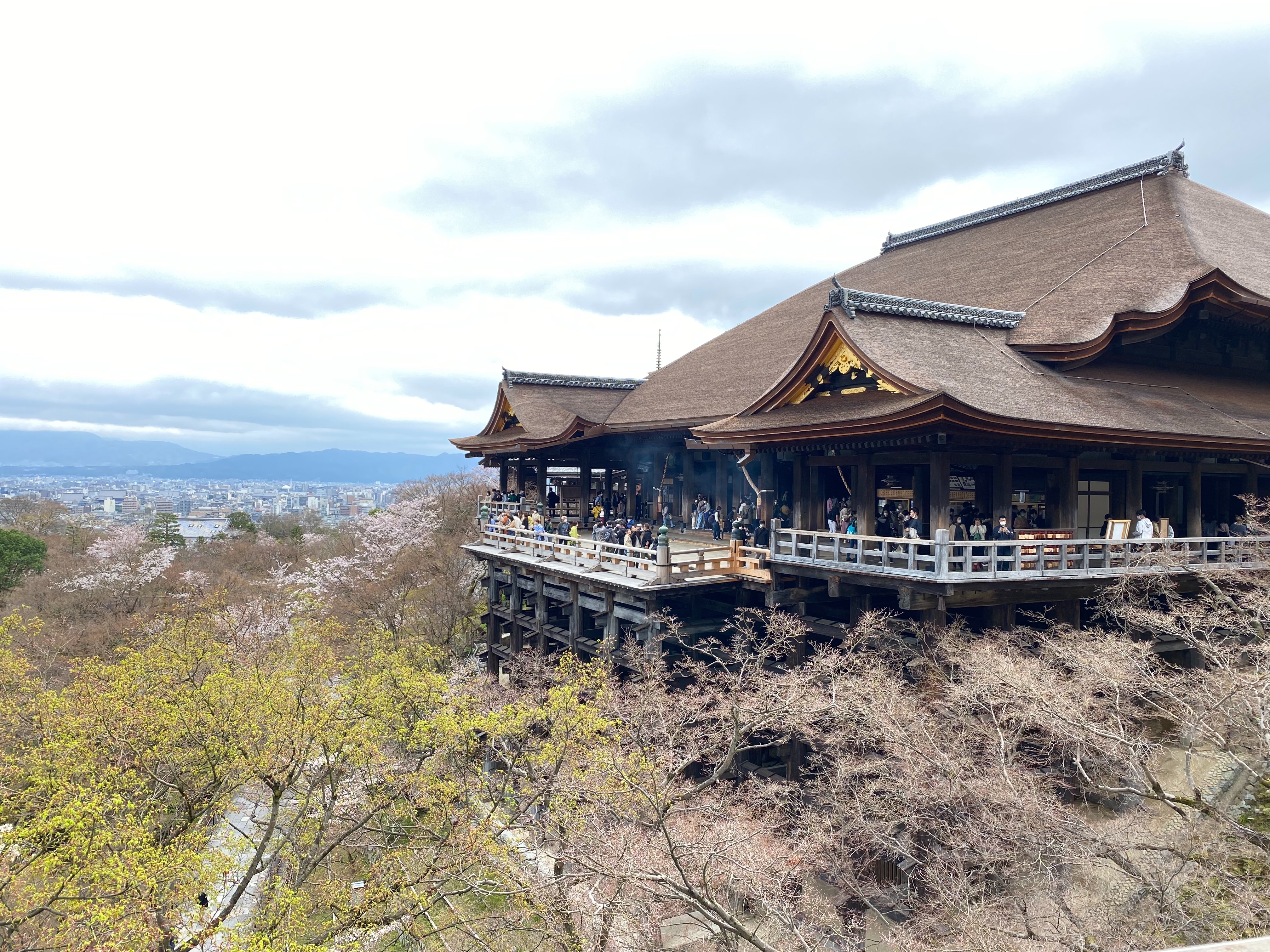 f:id:miki-from-usa:20220416003030j:image