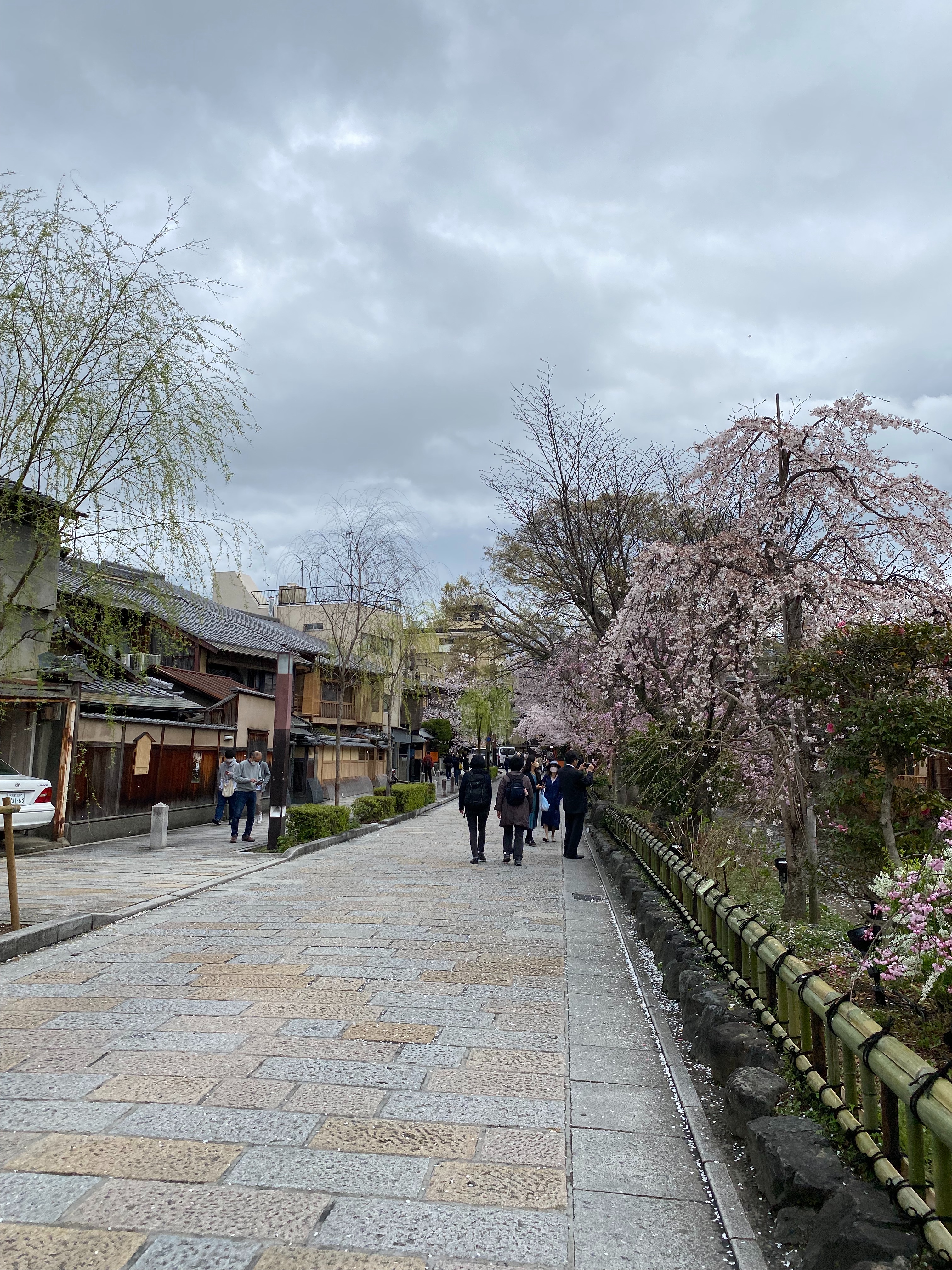 f:id:miki-from-usa:20220416003046j:image