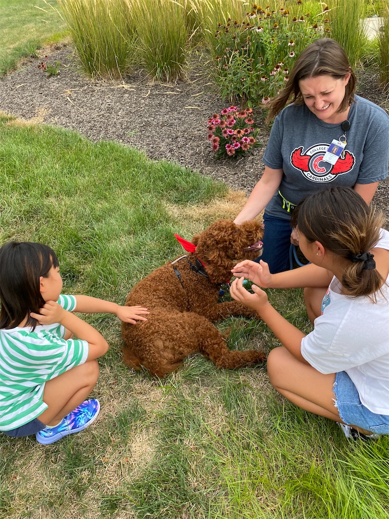 f:id:miki-from-usa:20220809221718j:image