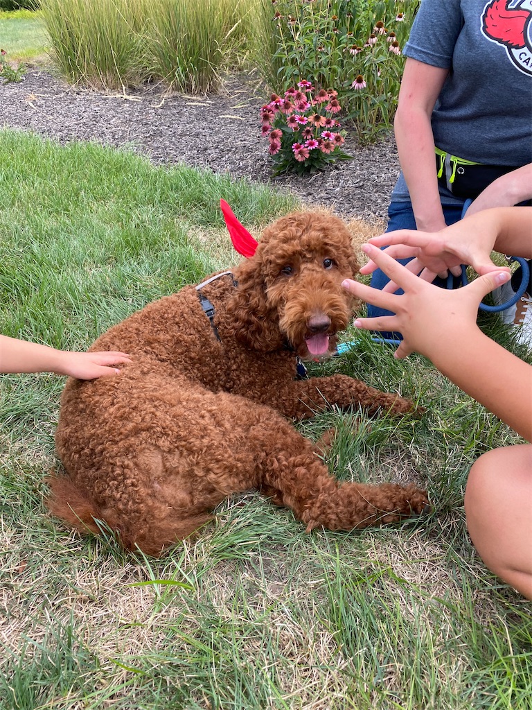 f:id:miki-from-usa:20220809221721j:image