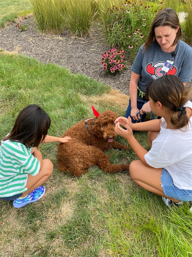 f:id:miki-from-usa:20220809221726j:image