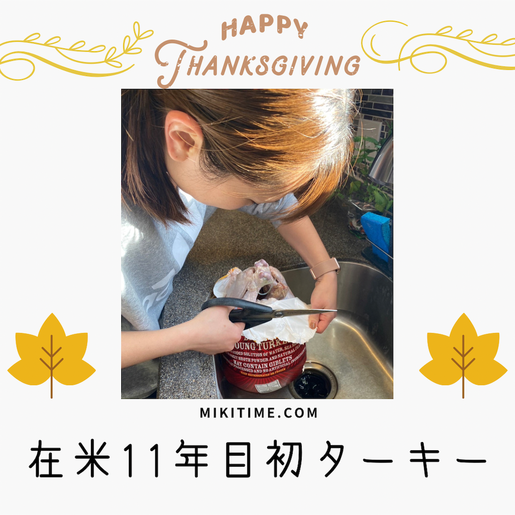 f:id:miki-from-usa:20221128234708p:image f:id:miki-from-usa:20221128234708p:image