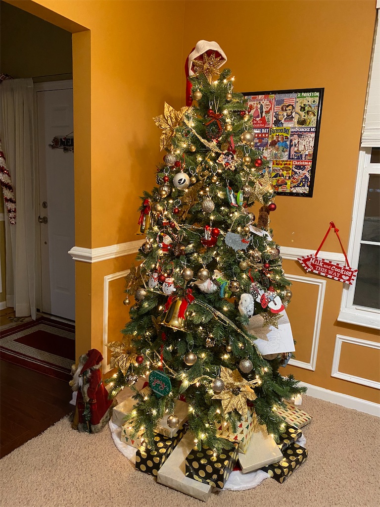 f:id:miki-from-usa:20221201204827j:image