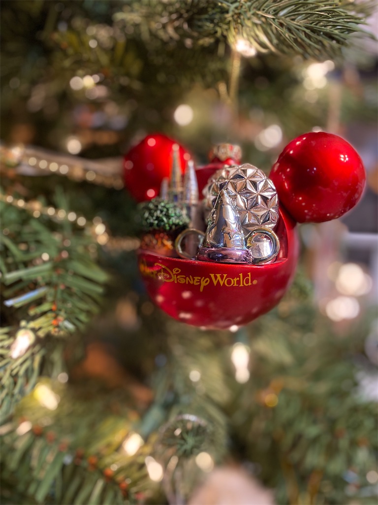 f:id:miki-from-usa:20221201204856j:image