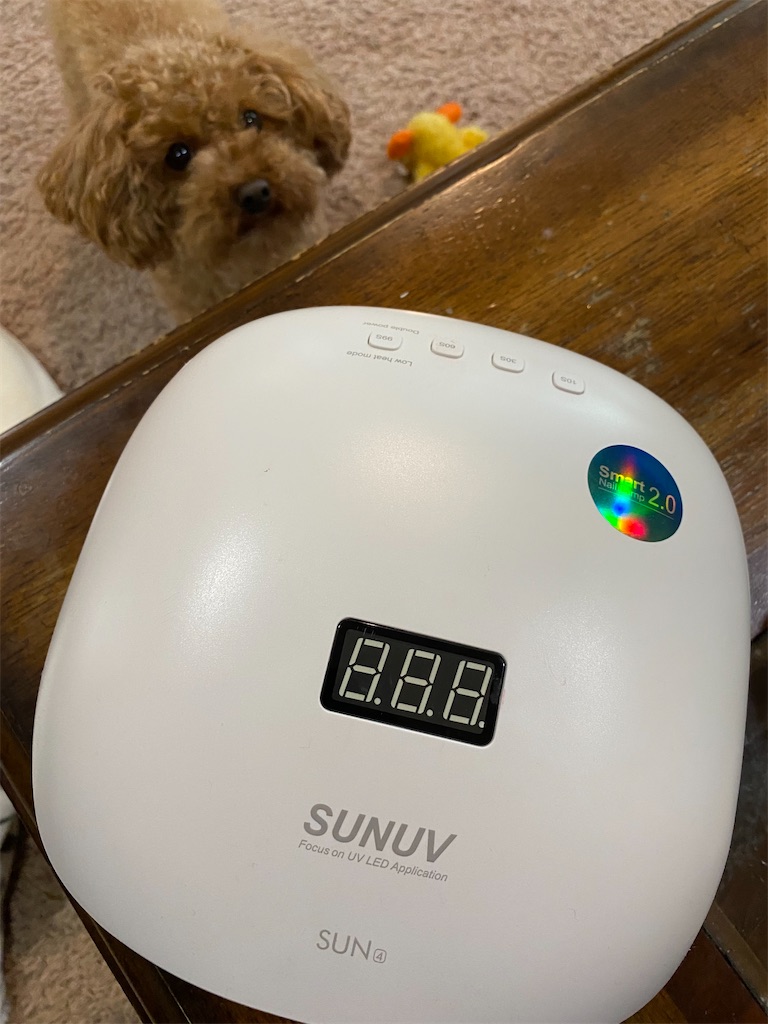 f:id:miki-from-usa:20221202070418j:image