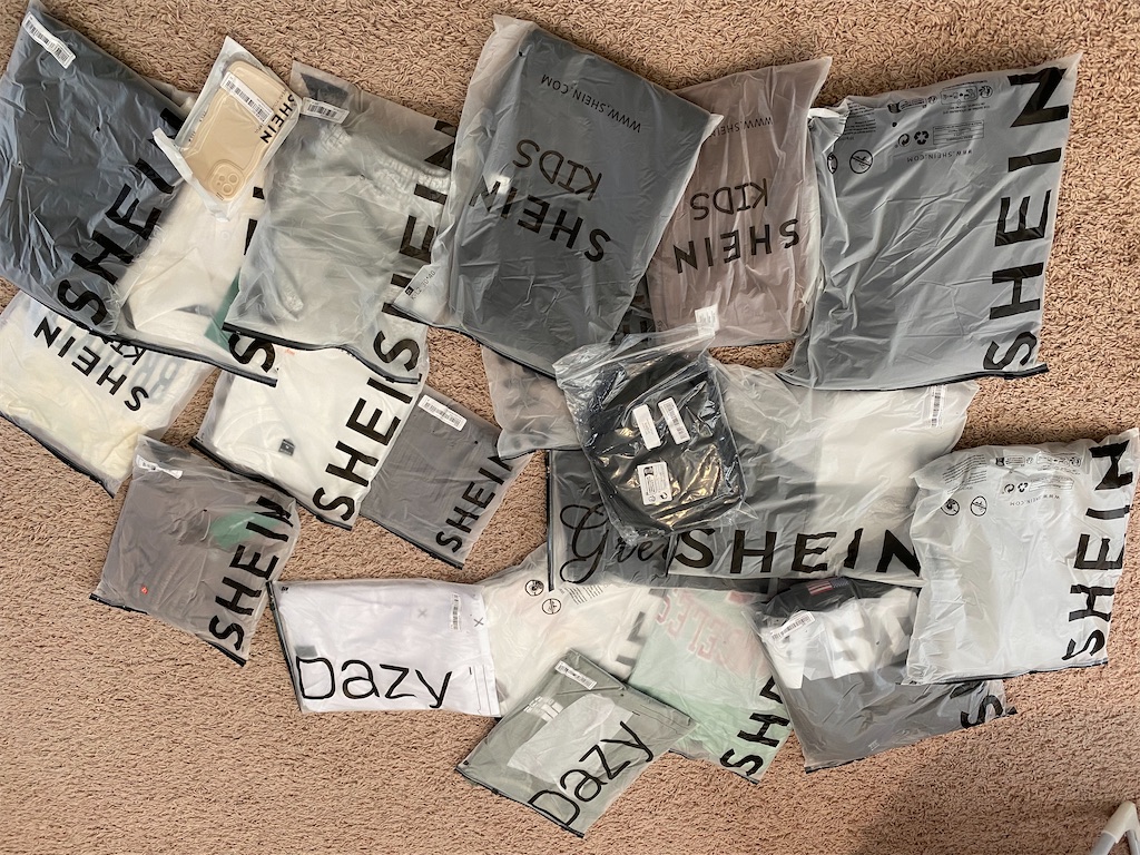 f:id:miki-from-usa:20230407222459j:image