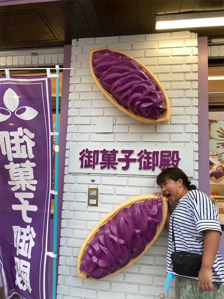 f:id:miki-from-usa:20230624041137j:image