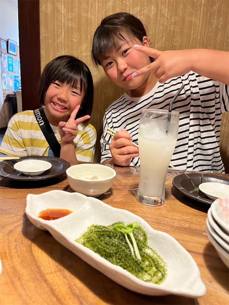 f:id:miki-from-usa:20230624041206j:image