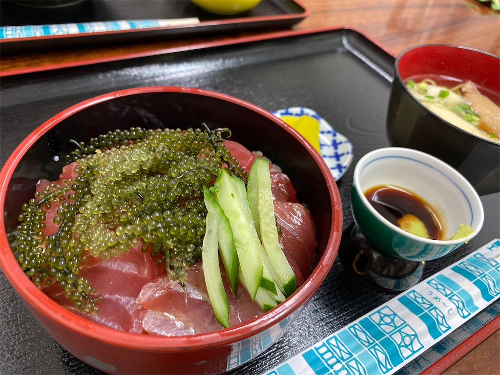 f:id:miki-from-usa:20230710105437j:image