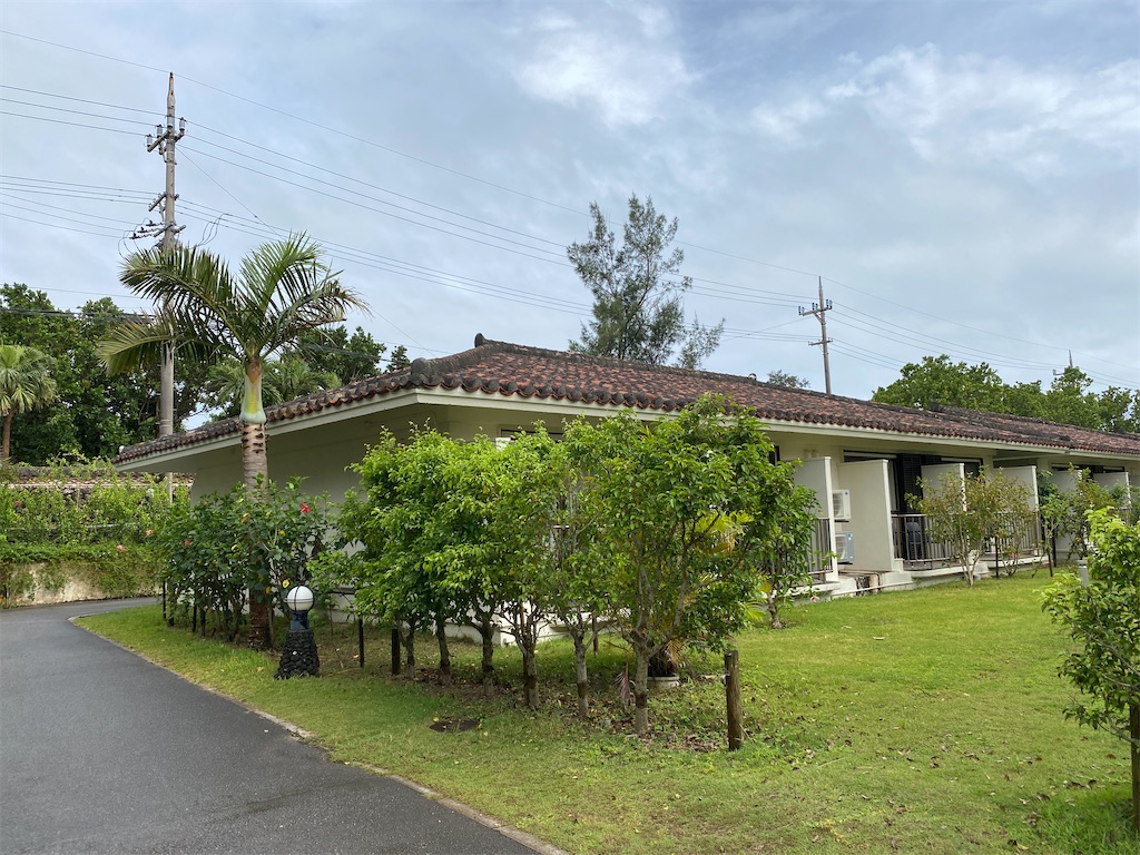 f:id:miki-from-usa:20230710105459j:image