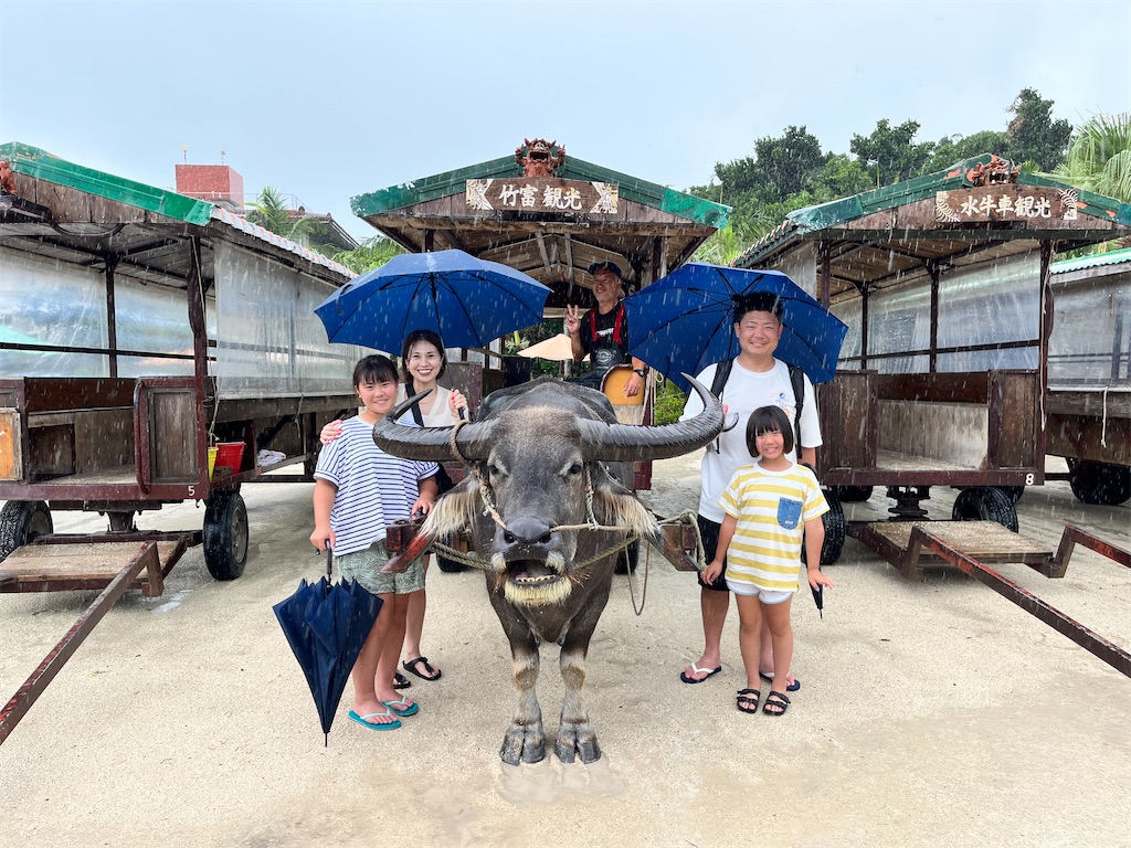 f:id:miki-from-usa:20230710105729j:image