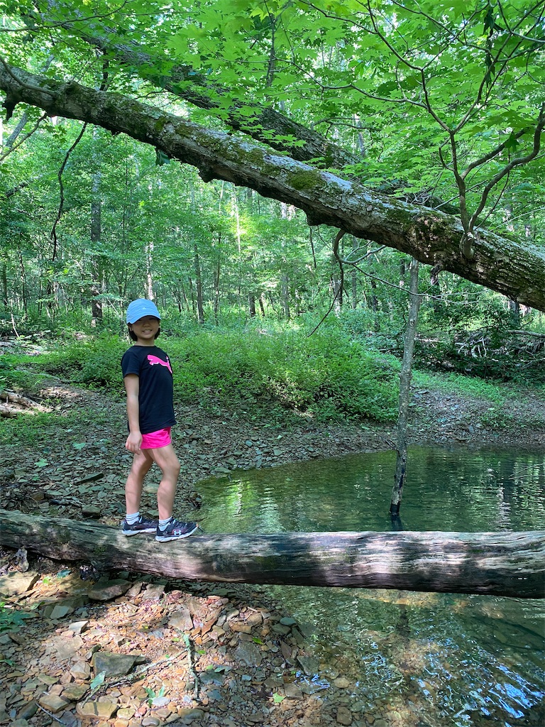 f:id:miki-from-usa:20230730110652j:image