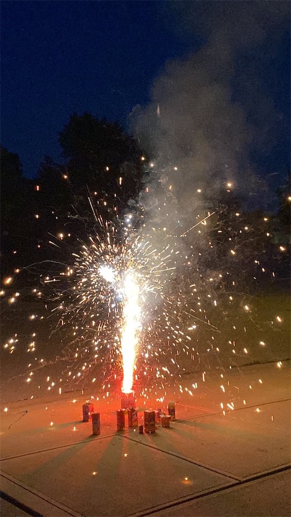 f:id:miki-from-usa:20230730110709j:image