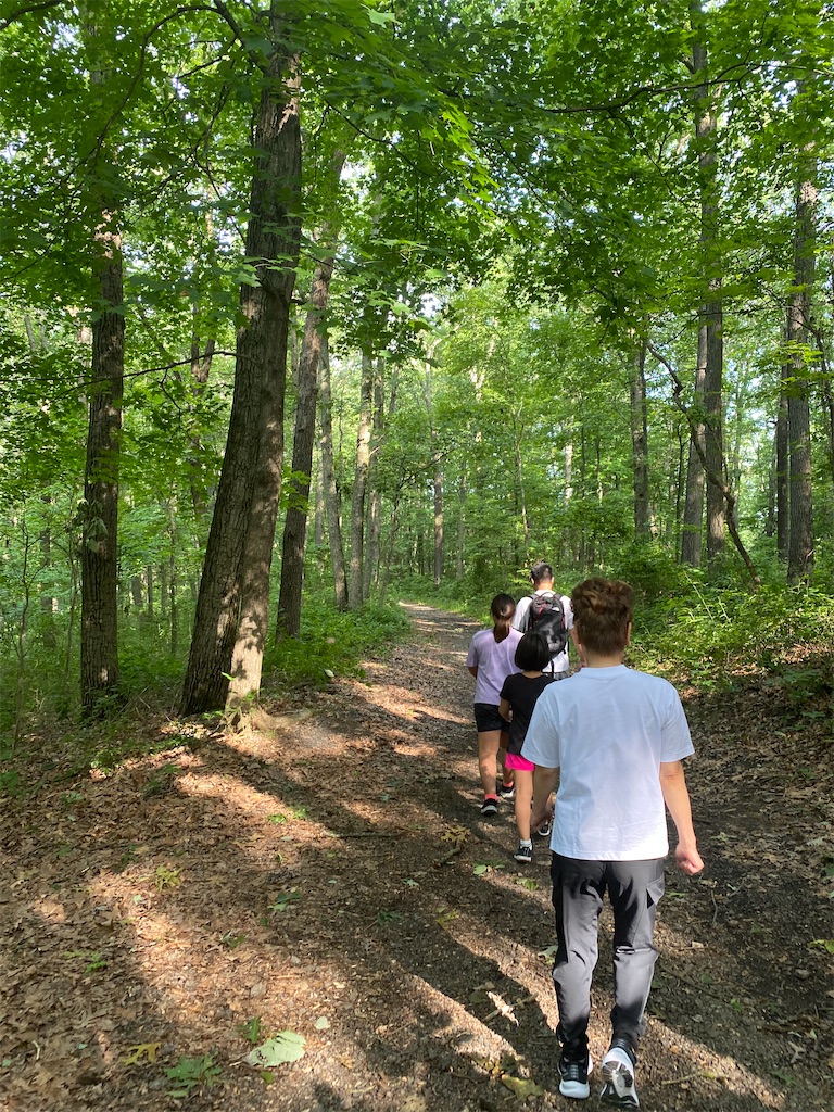 f:id:miki-from-usa:20230730110724j:image