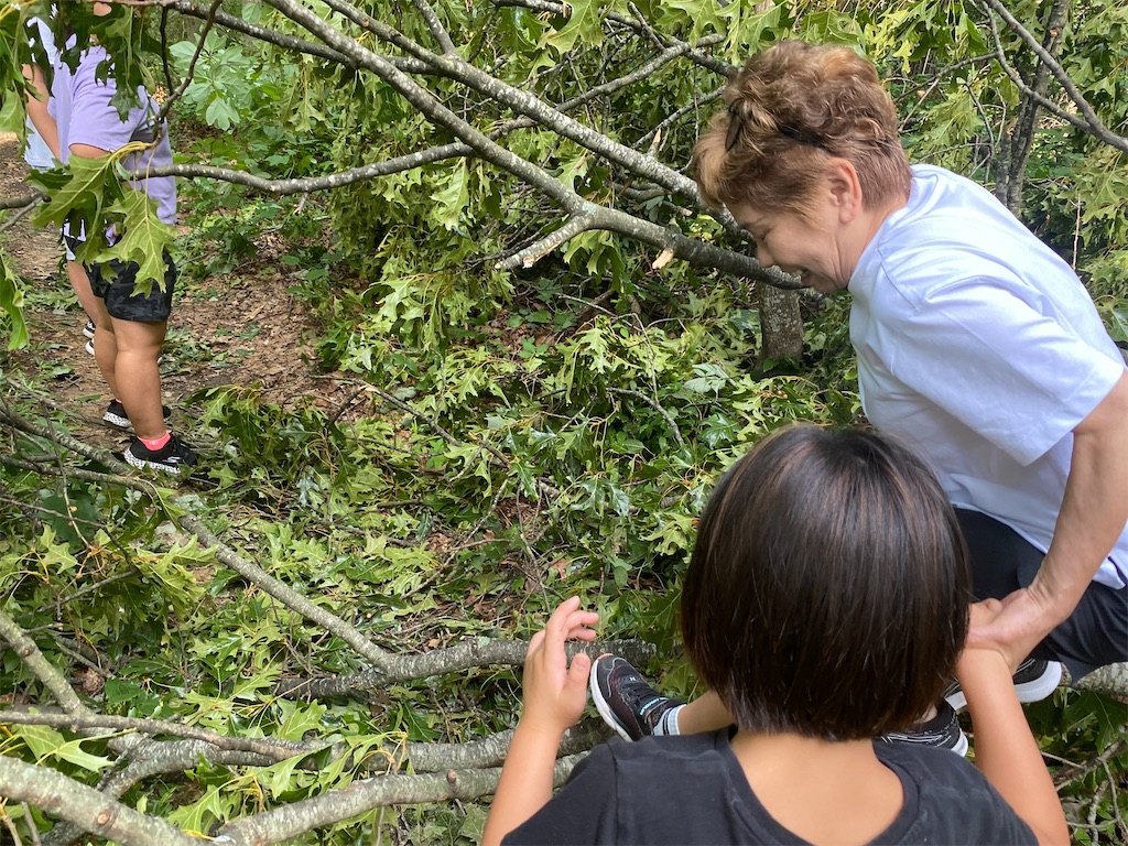 f:id:miki-from-usa:20230730110728j:image