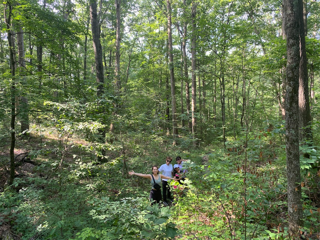 f:id:miki-from-usa:20230730110739j:image