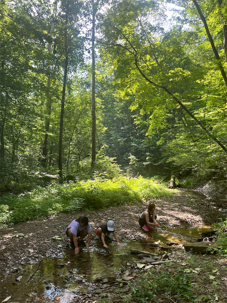 f:id:miki-from-usa:20230730110743j:image